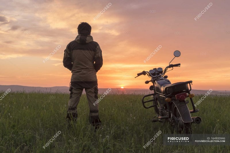 Мопеды в поле