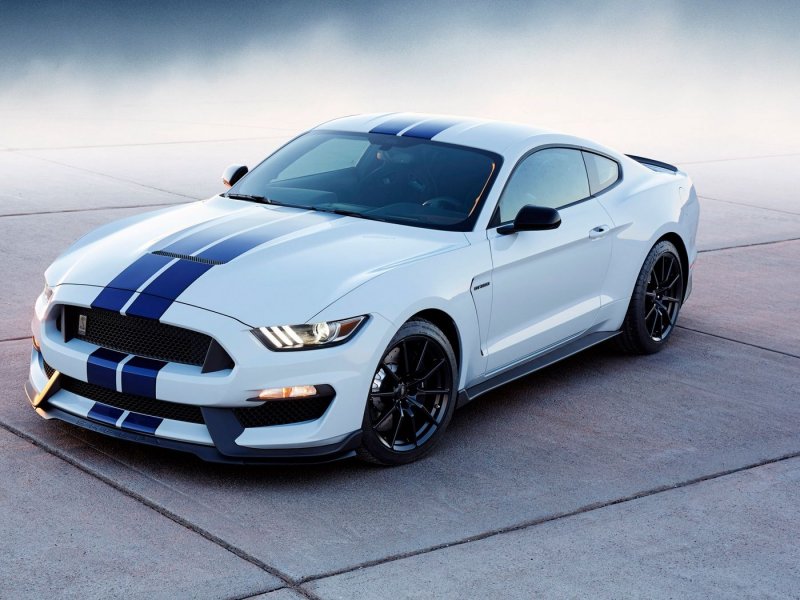 Ford Shelby gt500 2010
