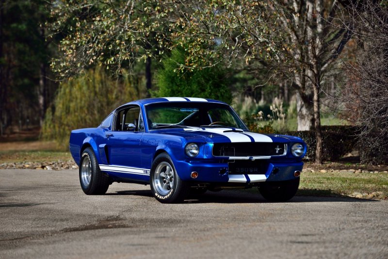 Ford Shelby gt500 2013