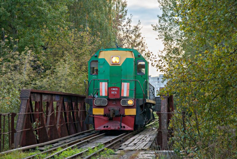 Янов тэм3 в кустах заброшенный