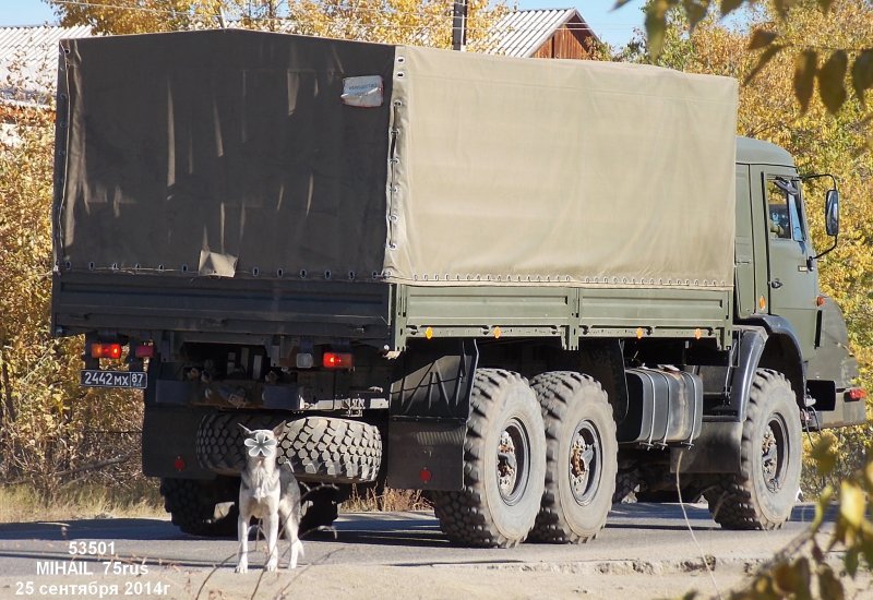 КАМАЗ 53501