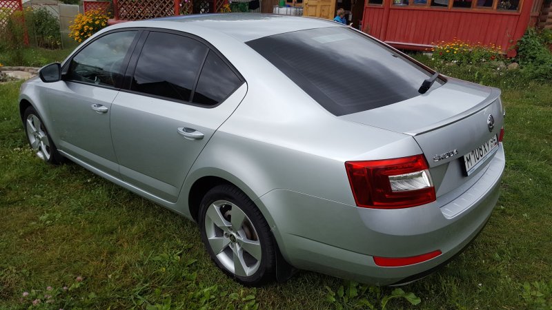 Brilliant Silver Skoda