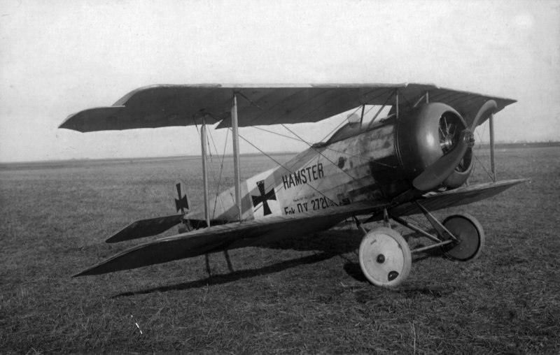 04194 Fokker d VII 1/72