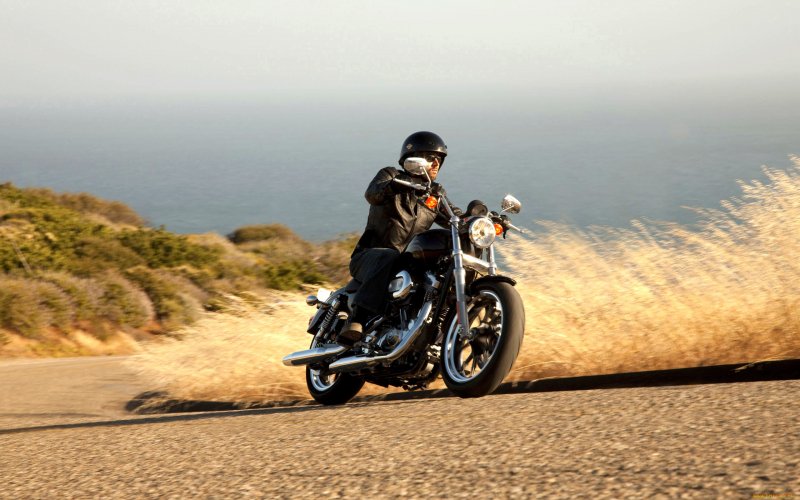Harley Davidson XL 883 Sportster