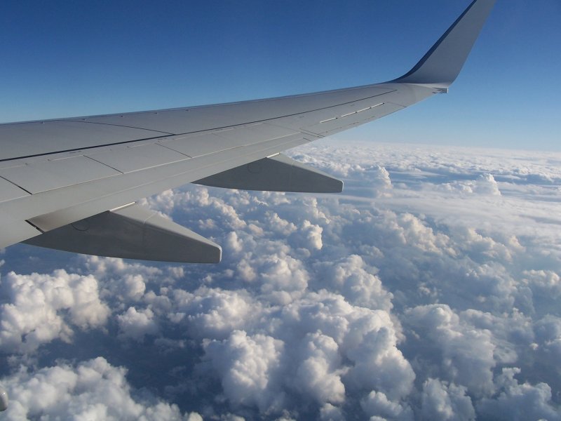 Boeing 737 800 крыло
