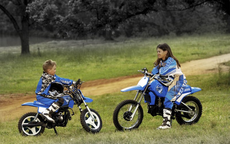 Yamaha pw50