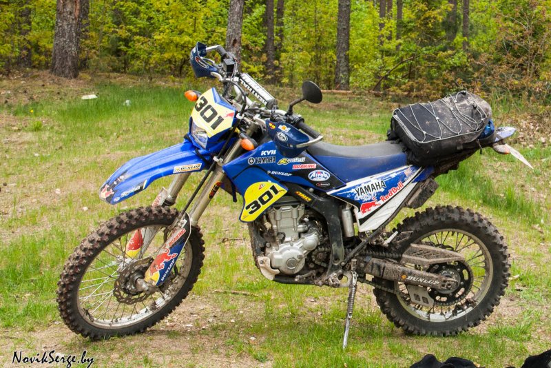 M1nsk ERX 250