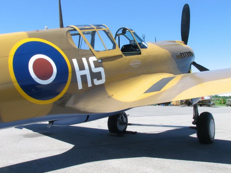 Curtiss p-40 Warhawk 335