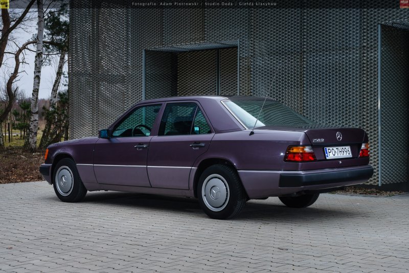 W124 борнит