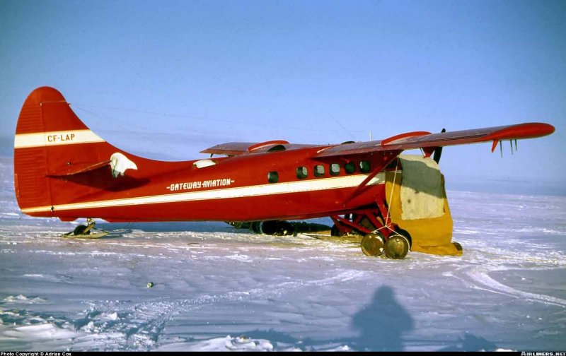 De Havilland DHC-3