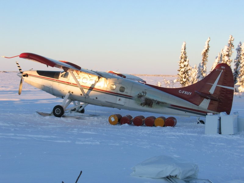 Бивер DHC 2