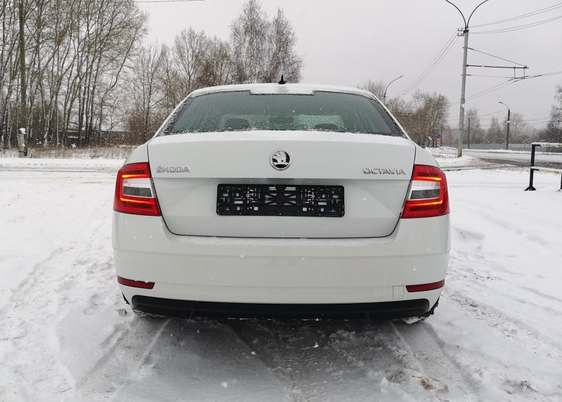 Тонировка фонарей Octavia a7