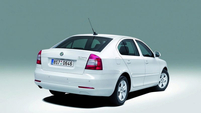 Skoda Octavia a5 сзади