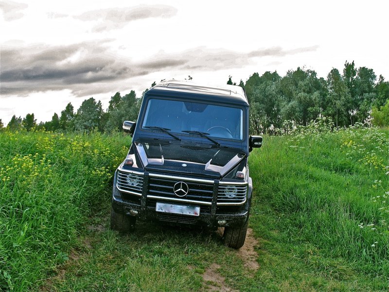 Mercedes природа