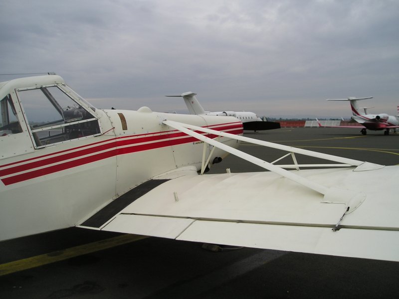 Westland-Hill Pterodactyl