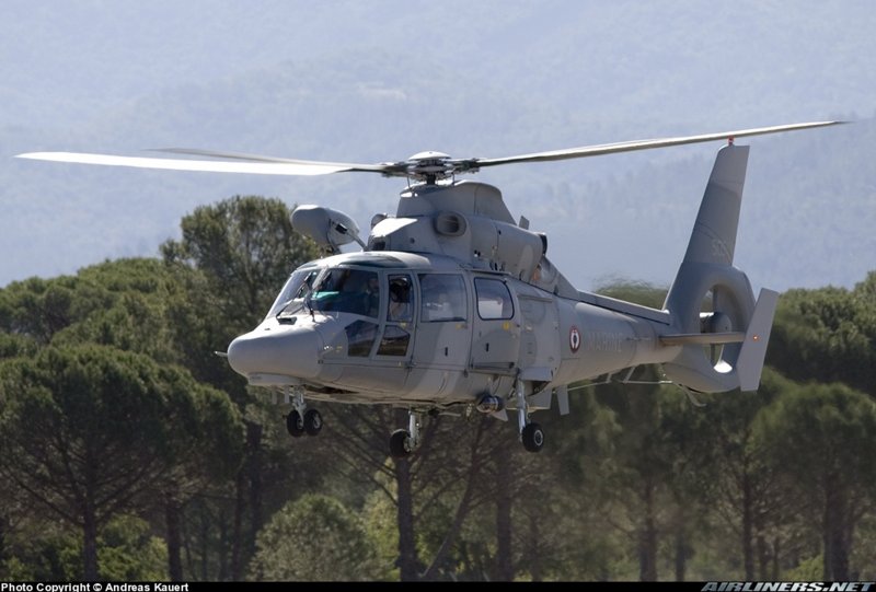 Military as565 Panther