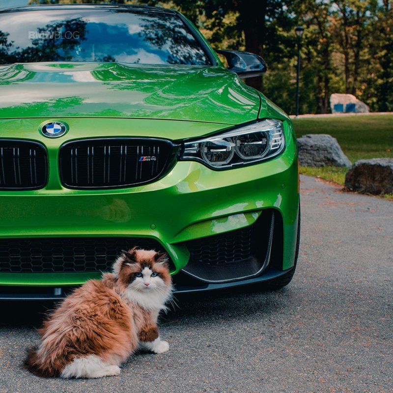 BMW f01 Green