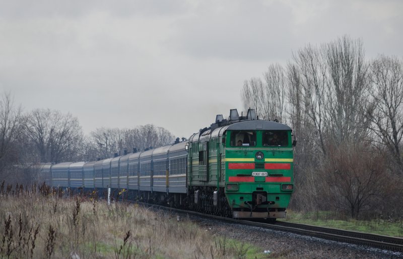 Тематический поезд метро Боткинская