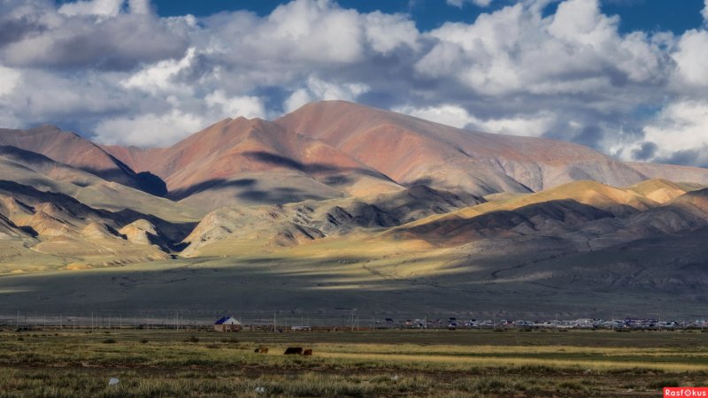 Кош Агач город