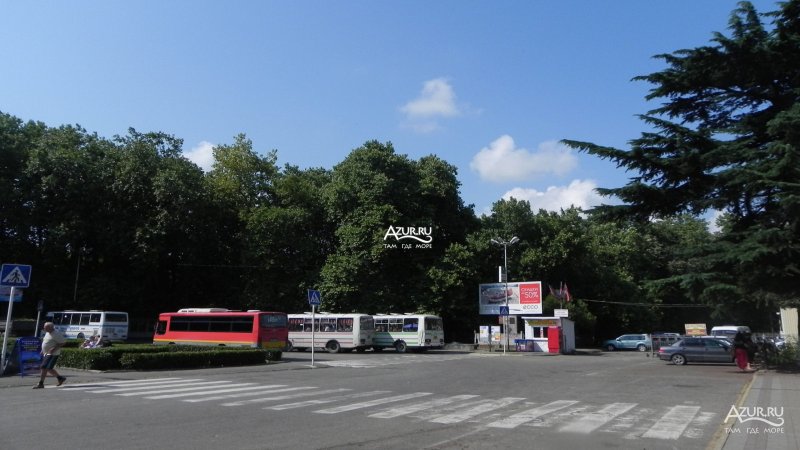 Международный аэропорт Сочи (Адлер)