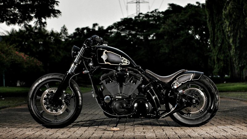 Harley Davidson fat Bob боббер