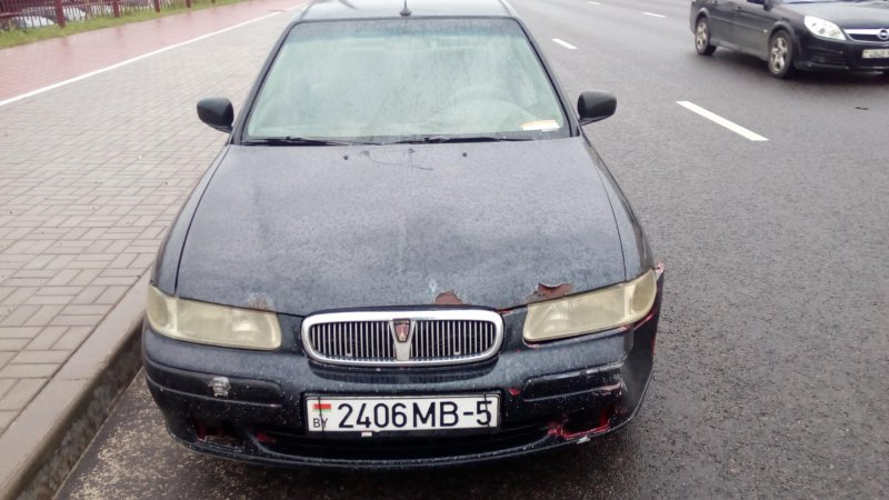 Rover 300