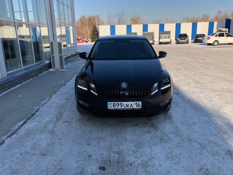 Skoda Octavia a7 антихром