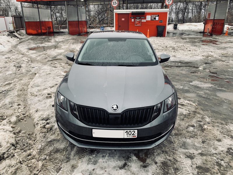 Skoda Octavia a7 антихром