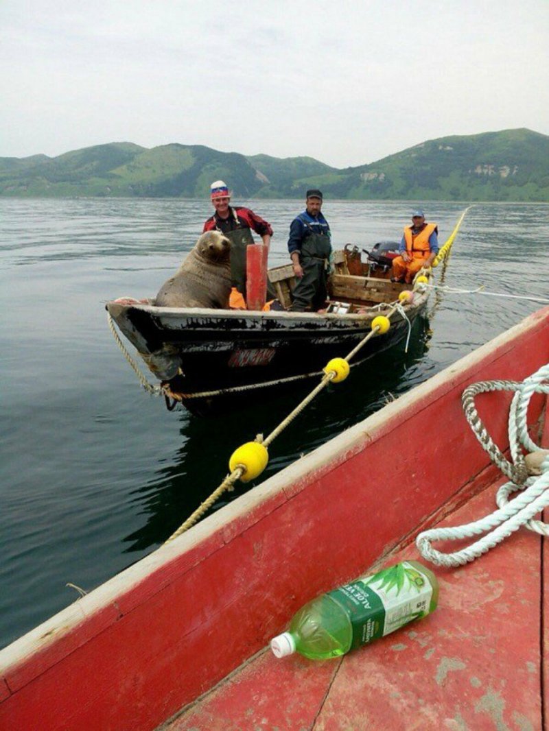 Тайская лодка чертеж Longtail Boat
