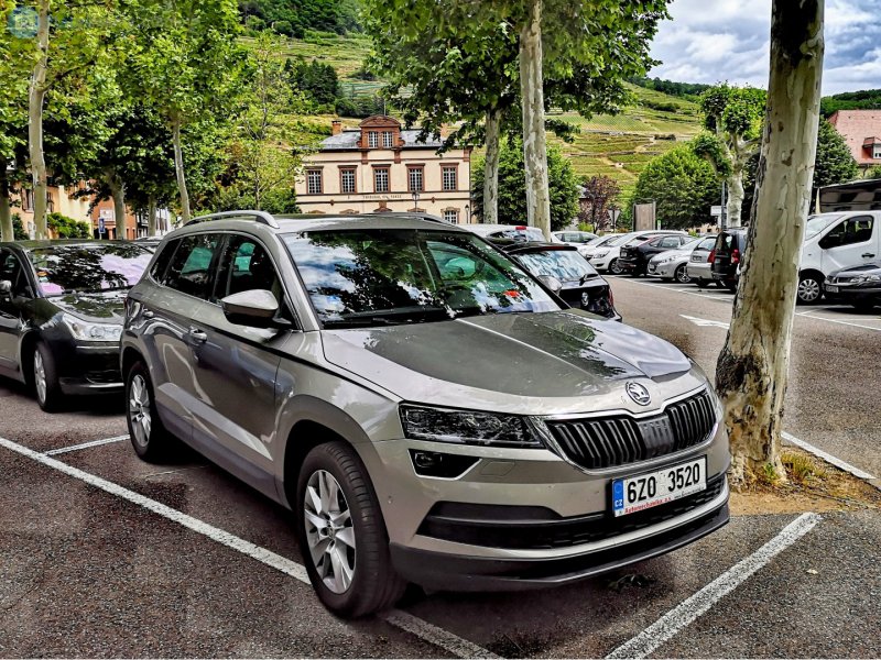 Skoda Kodiaq капучино