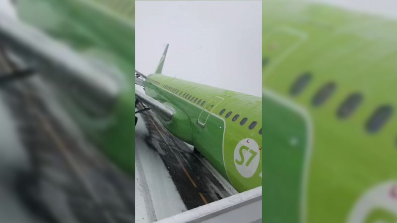 Авиакомпания s7 Боинг 737-800