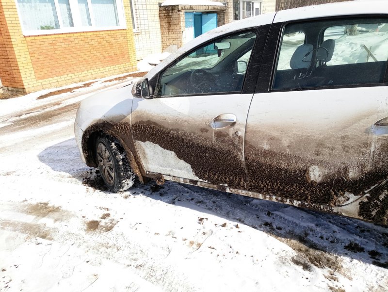 Аэрография на Рено Логан 1