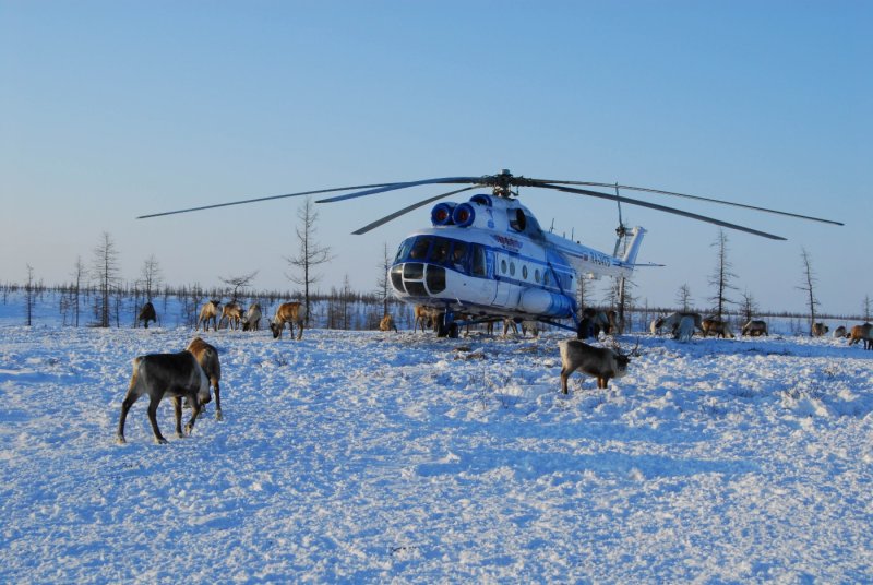 Посёлок Ямбург Надымский район Ямало-Ненецкий автономный округ