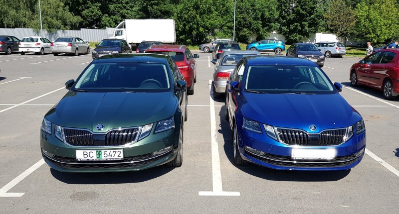 Octavia a8 зеленая