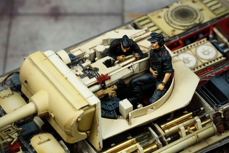 RFM Panther g Full Interior