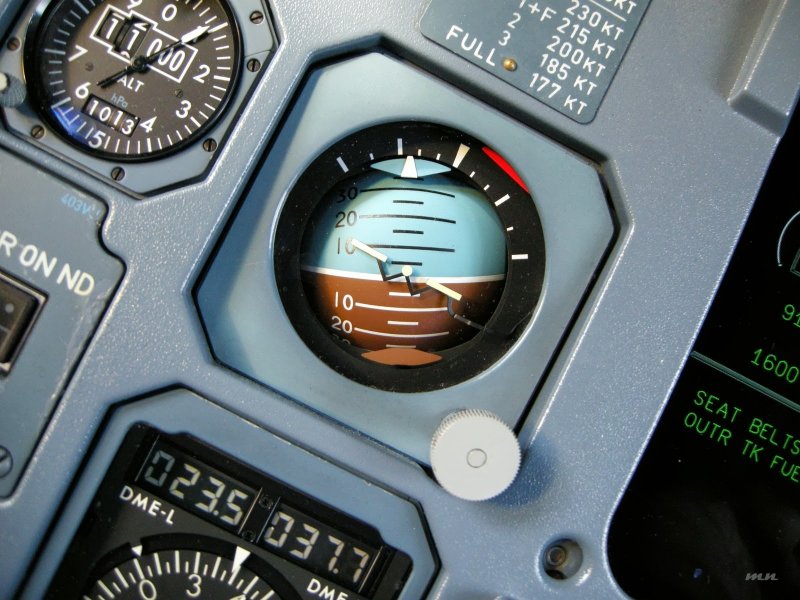 Авиагоризонт а320