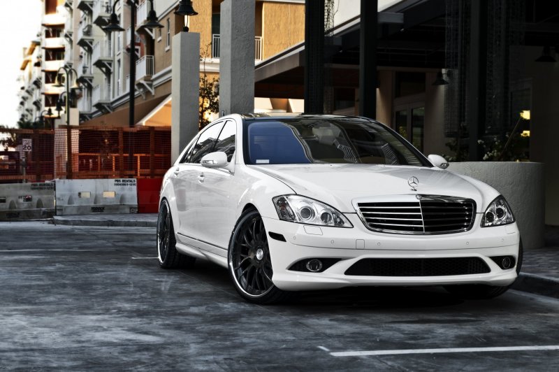 Mercedes Benz мерин