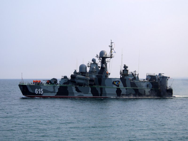 РКВП Бора