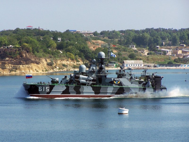 РКВП Бора