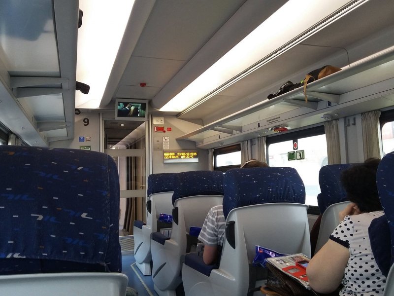 Стриж вагоны Talgo