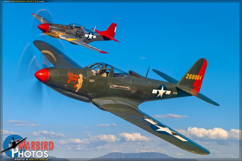 Dw48004 Авиация Bell p-63e Kingcobra (1:48)