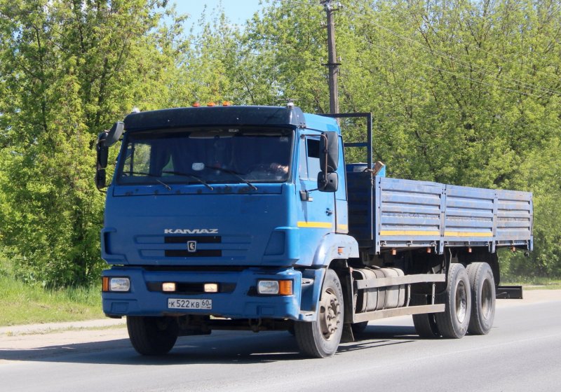 КАМАЗ 65117-6010-50