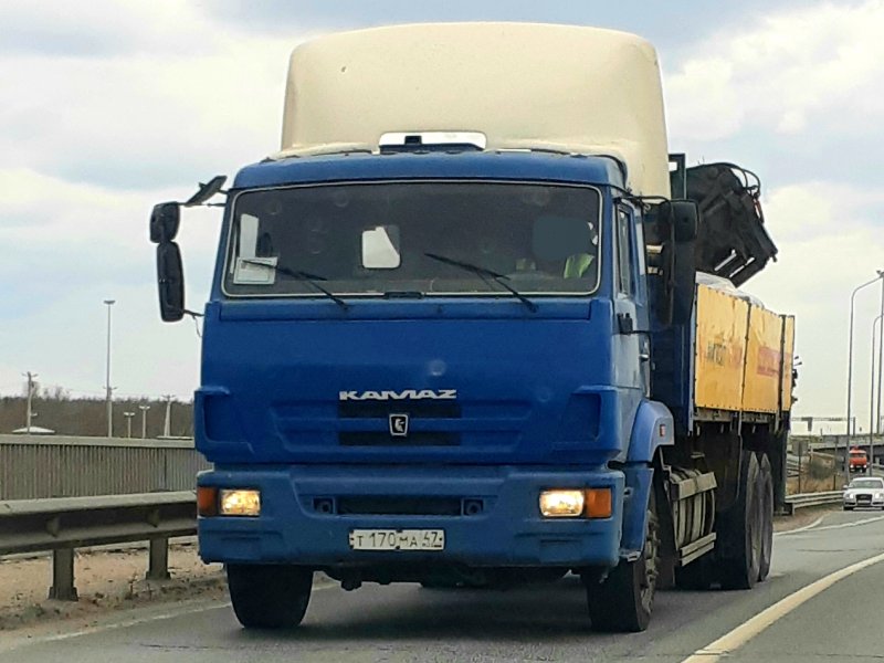 КАМАЗ 65117 сортиментовоз