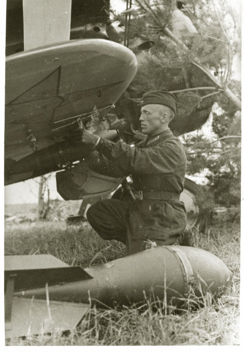 И-153 Чайка схема окраски