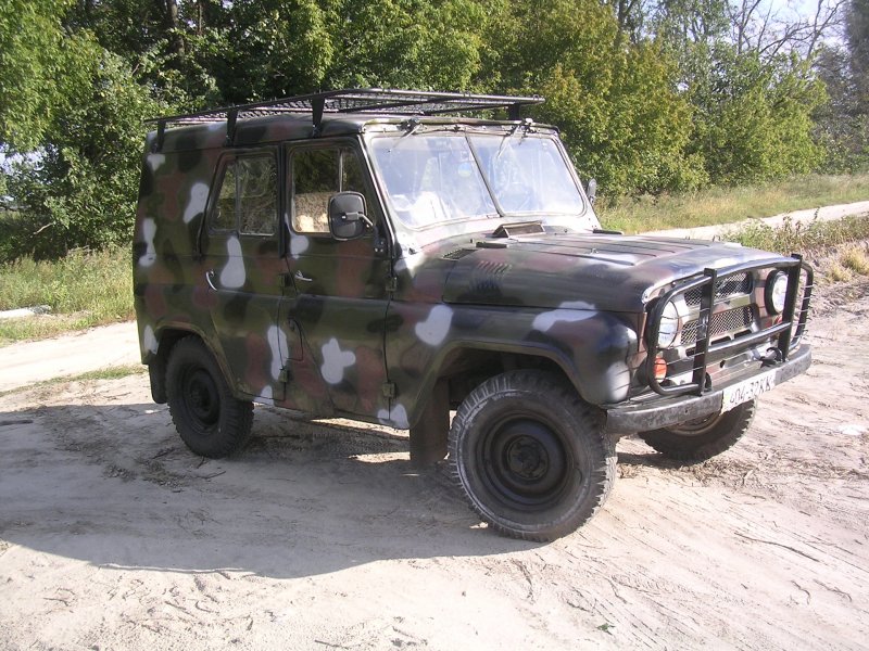 Аэрография леопард