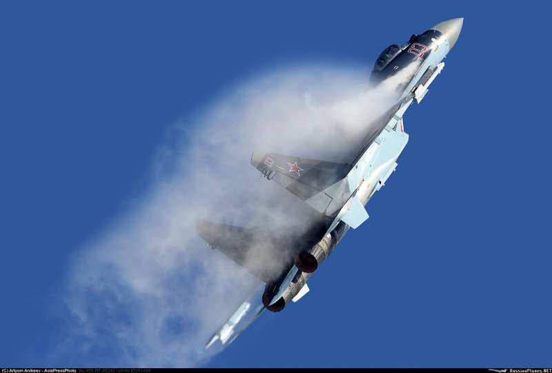 Русские Витязи в Воронеже