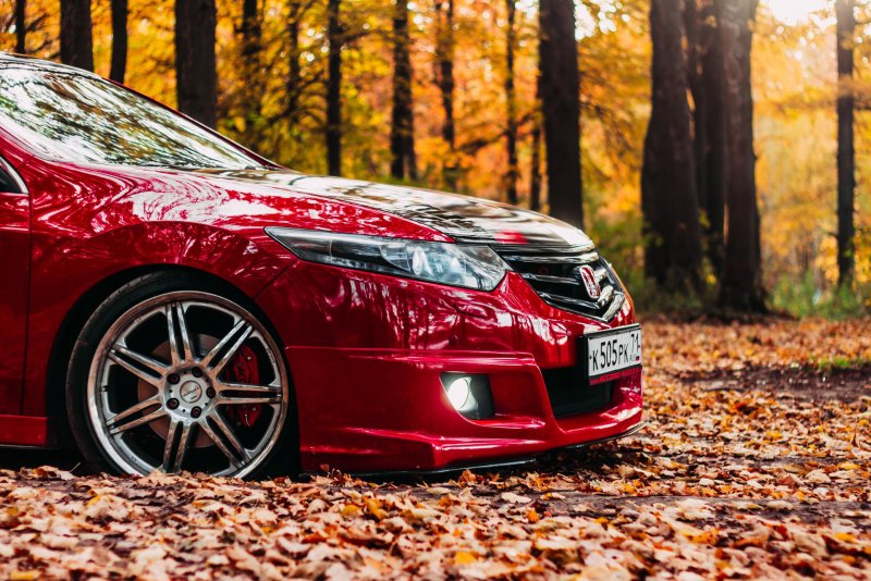 Honda Accord 8 красный