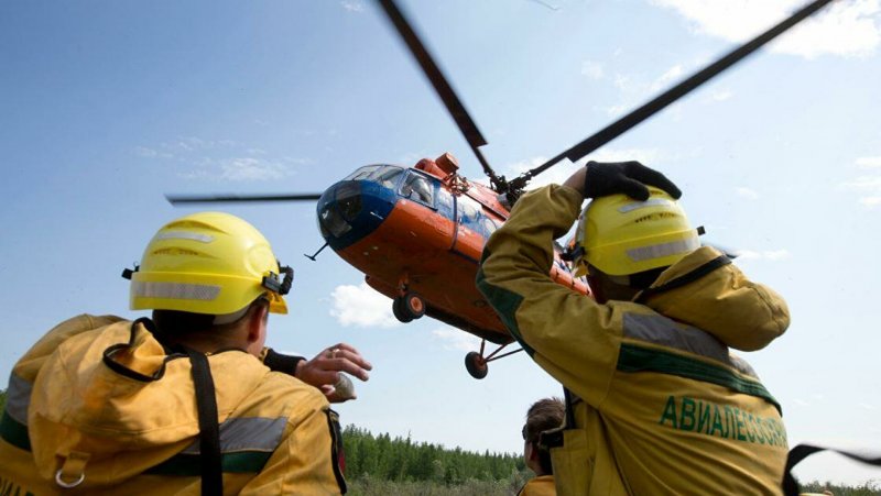 Центральная база авиационной охраны лесов Авиалесоохрана
