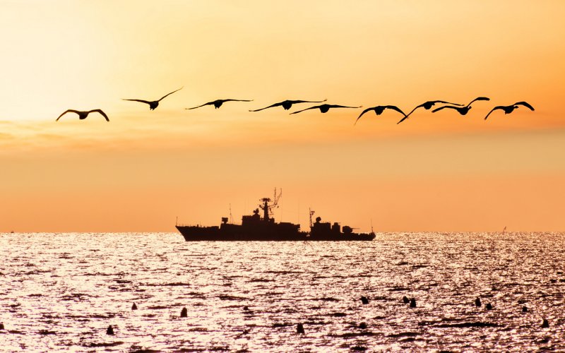 Море Чайки парусник