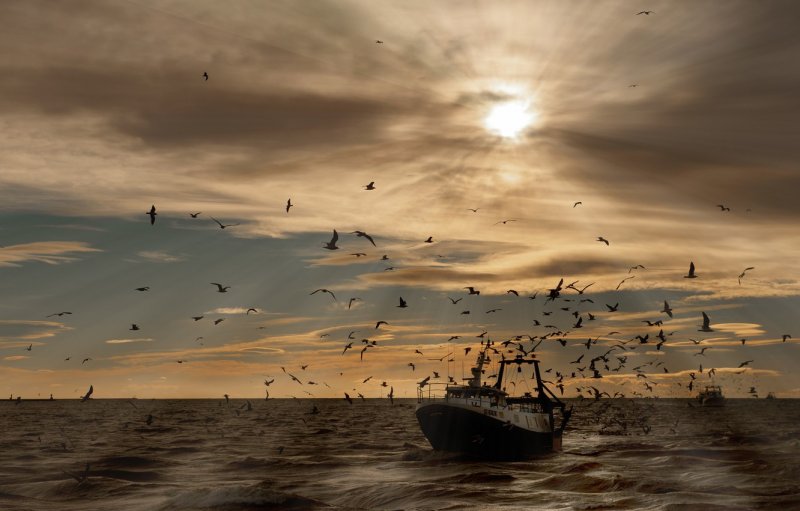 Чайки, корабль и море